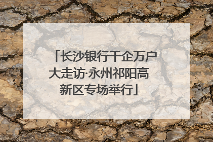 长沙银行千企万户大走访·永州祁阳高新区专场举行