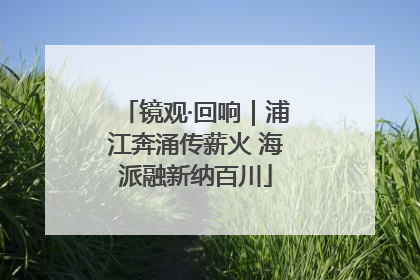 镜观·回响｜浦江奔涌传薪火 海派融新纳百川