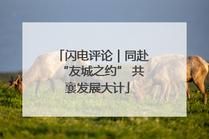 闪电评论｜同赴“友城之约” 共襄发展大计