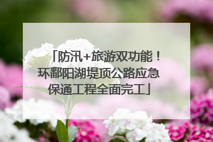 防汛+旅游双功能！环鄱阳湖堤顶公路应急保通工程全面完工