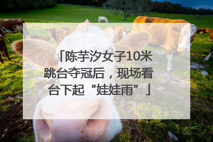 陈芋汐女子10米跳台夺冠后，现场看台下起“娃娃雨”