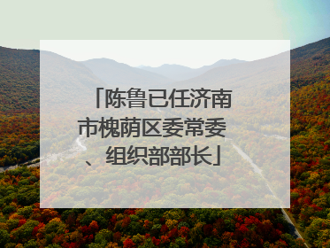 陈鲁已任济南市槐荫区委常委、组织部部长