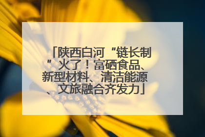 陕西白河“链长制”火了！富硒食品、新型材料、清洁能源、文旅融合齐发力