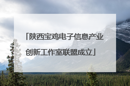 陕西宝鸡电子信息产业创新工作室联盟成立