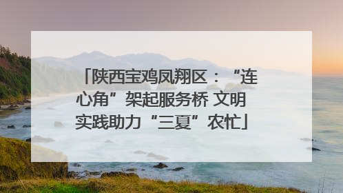 陕西宝鸡凤翔区：“连心角”架起服务桥 文明实践助力“三夏”农忙
