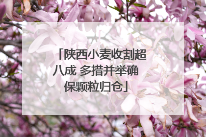 陕西小麦收割超八成 多措并举确保颗粒归仓