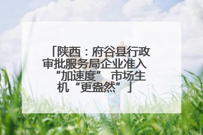陕西：府谷县行政审批服务局企业准入“加速度” 市场生机“更盎然”