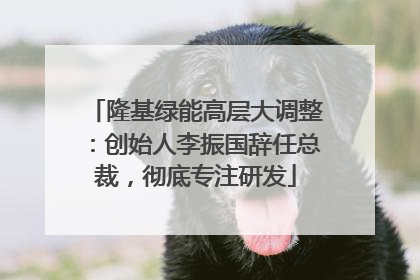 隆基绿能高层大调整：创始人李振国辞任总裁，彻底专注研发
