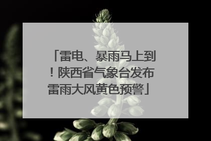 雷电、暴雨马上到！陕西省气象台发布雷雨大风黄色预警