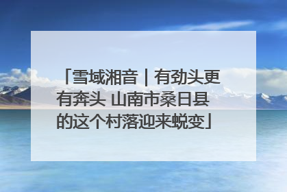 雪域湘音｜有劲头更有奔头 山南市桑日县的这个村落迎来蜕变