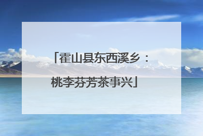 霍山县东西溪乡：桃李芬芳茶事兴