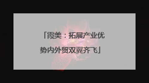 霞美：拓展产业优势内外贸双翼齐飞