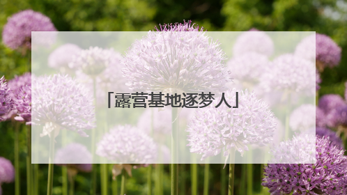 露营基地逐梦人