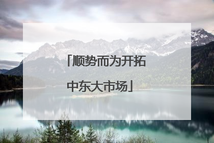 顺势而为开拓中东大市场
