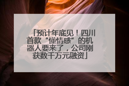 预计年底见！四川首款“懂情感”的机器人要来了，公司刚获数千万元融资