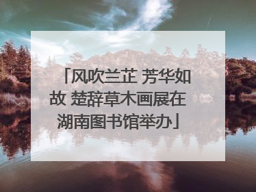 风吹兰芷 芳华如故 楚辞草木画展在湖南图书馆举办