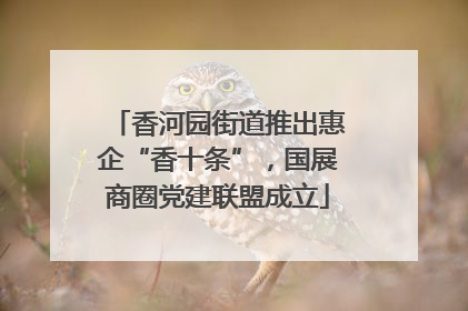 香河园街道推出惠企“香十条”，国展商圈党建联盟成立
