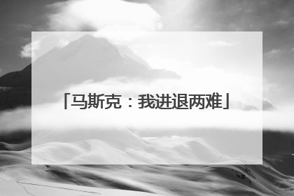 马斯克：我进退两难