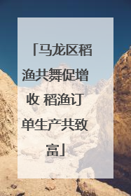 马龙区稻渔共舞促增收 稻渔订单生产共致富