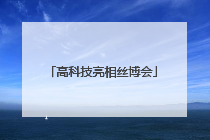 高科技亮相丝博会