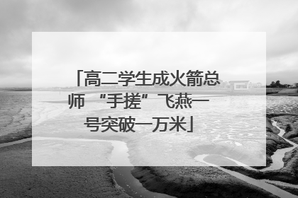 高二学生成火箭总师 “手搓”飞燕一号突破一万米