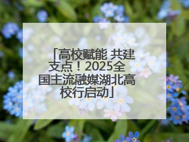高校赋能 共建支点！2025全国主流融媒湖北高校行启动