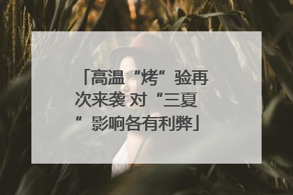 高温“烤”验再次来袭 对“三夏”影响各有利弊