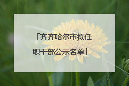 齐齐哈尔市拟任职干部公示名单
