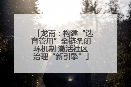 龙南：构建“选育管用”全链条闭环机制 激活社区治理“新引擎”
