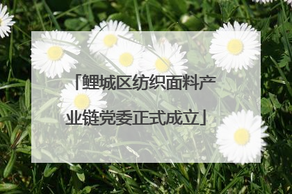 鲤城区纺织面料产业链党委正式成立