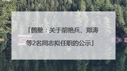鹤壁：关于胡艳兵、郑涛等2名同志拟任职的公示