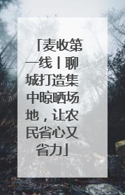 麦收第一线丨聊城打造集中晾晒场地，让农民省心又省力