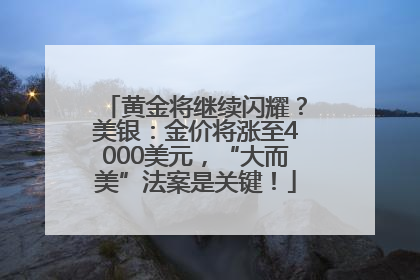 黄金将继续闪耀？美银：金价将涨至4000美元，“大而美”法案是关键！