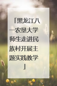 黑龙江八一农垦大学师生走进民族村开展主题实践教学