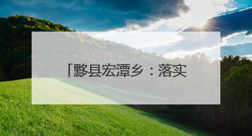 黟县宏潭乡：落实“田长制” 守好良田保“粮仓”