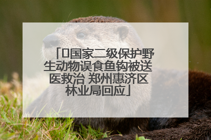 ﻿国家二级保护野生动物误食鱼钩被送医救治 郑州惠济区林业局回应