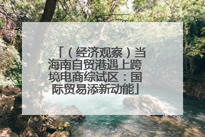 （经济观察）当海南自贸港遇上跨境电商综试区：国际贸易添新动能