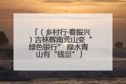 （乡村行·看振兴）吉林辉南荒山变“绿色银行” 绿水青山有“钱景”