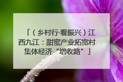 （乡村行·看振兴）江西九江：甜蜜产业拓宽村集体经济“增收路”