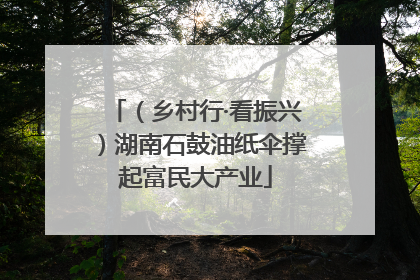 （乡村行·看振兴）湖南石鼓油纸伞撑起富民大产业