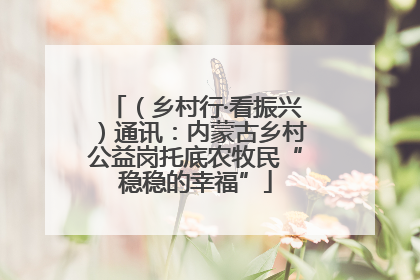 （乡村行·看振兴）通讯：内蒙古乡村公益岗托底农牧民“稳稳的幸福”