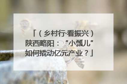 （乡村行·看振兴）陕西略阳：“小瓢儿”如何撬动亿元产业？
