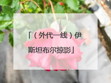 （外代一线）伊斯坦布尔掠影