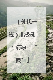 （外代一线）北极熊：清凉一“夏”