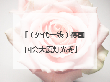 （外代一线）德国国会大厦灯光秀