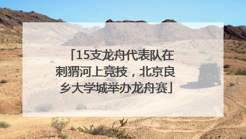 15支龙舟代表队在刺猬河上竞技，北京良乡大学城举办龙舟赛