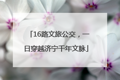 16路文旅公交，一日穿越济宁千年文脉