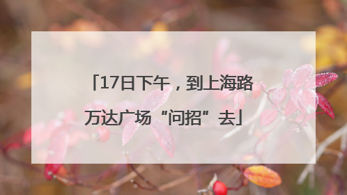 17日下午，到上海路万达广场“问招”去