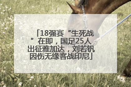 18强赛“生死战”在即，国足25人出征雅加达，刘若钒因伤无缘客战印尼