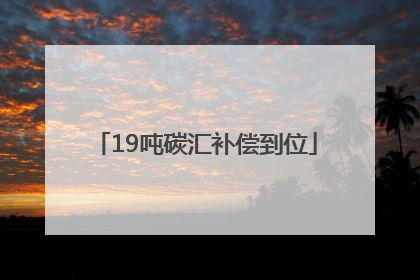 19吨碳汇补偿到位